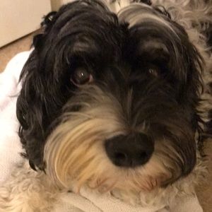 Meet your Posher, Jackie